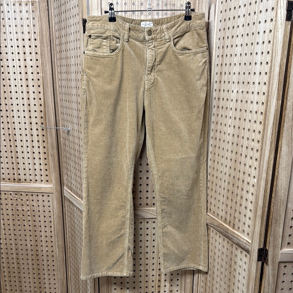 Pilcro Tan‎ Corduroy Pants